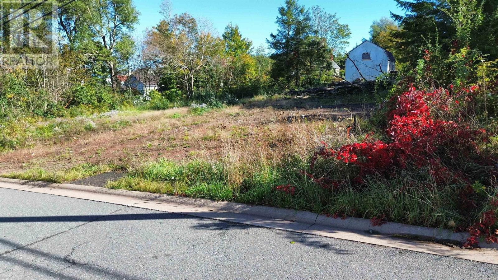 42 & 46 Church Street, Springhill, Nova Scotia  B0M 1X0 - Photo 3 - 202625168