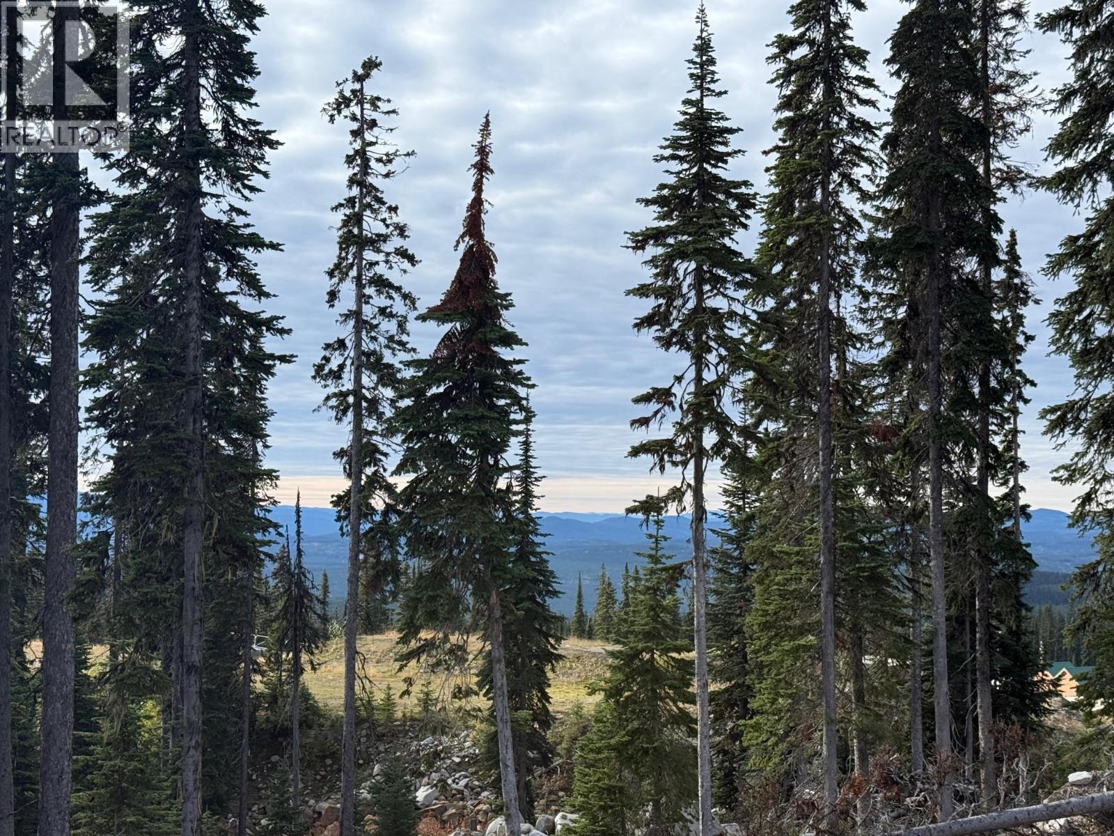 Black Forest Way Lot# 4, Big White, British Columbia  V1P 1P3 - Photo 7 - 10401949