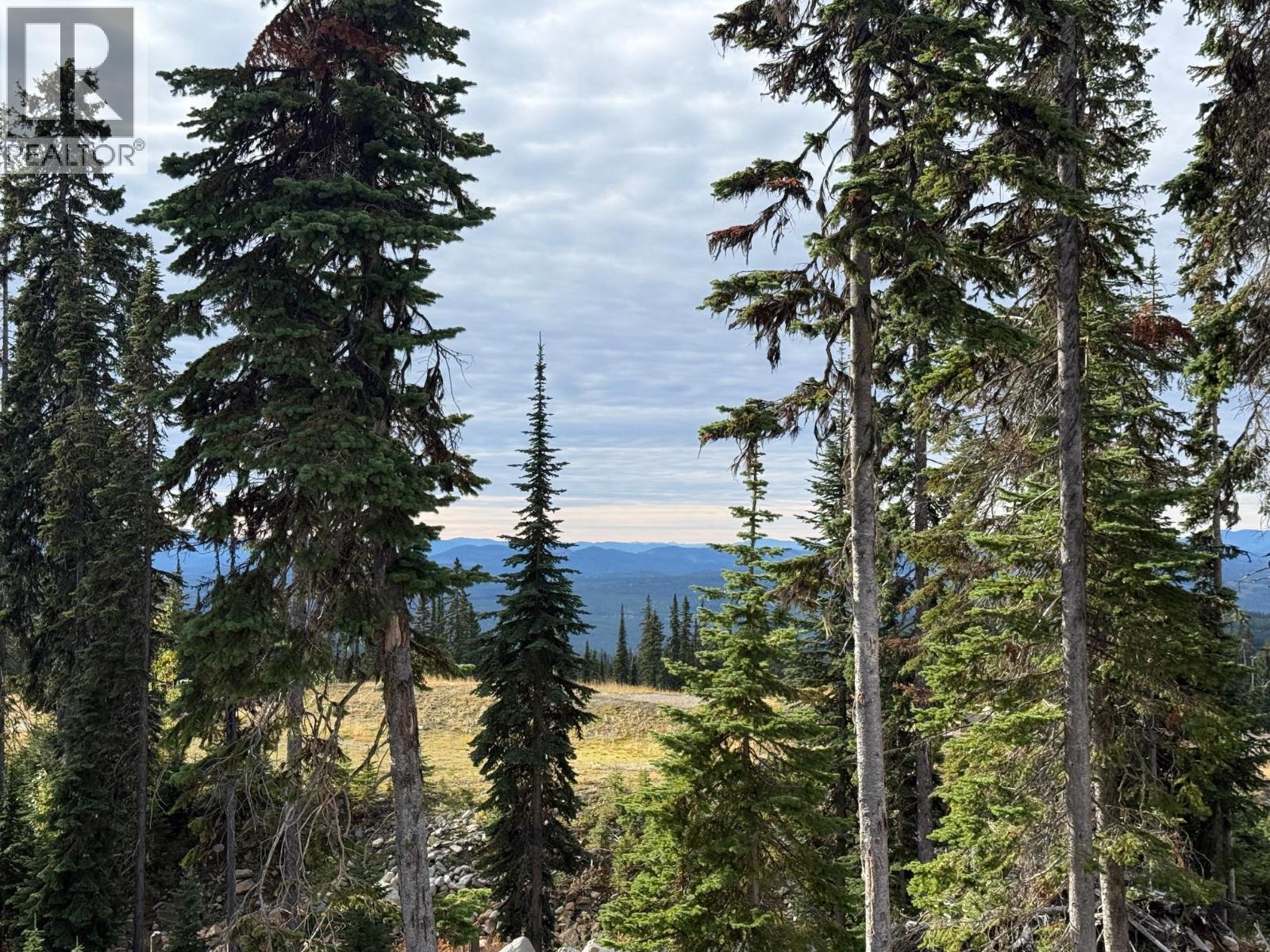 Black Forest Way Lot# 4, Big White, British Columbia  V1P 1P3 - Photo 8 - 10401949