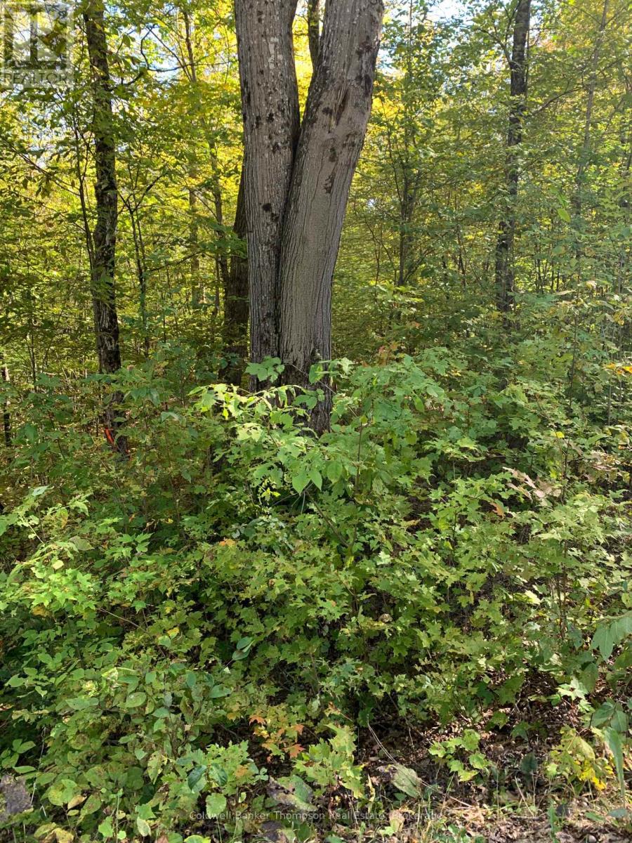 0 Ahmic Lake Road, Magnetawan, Ontario P0A 1P0 - Photo 2 - X13863090