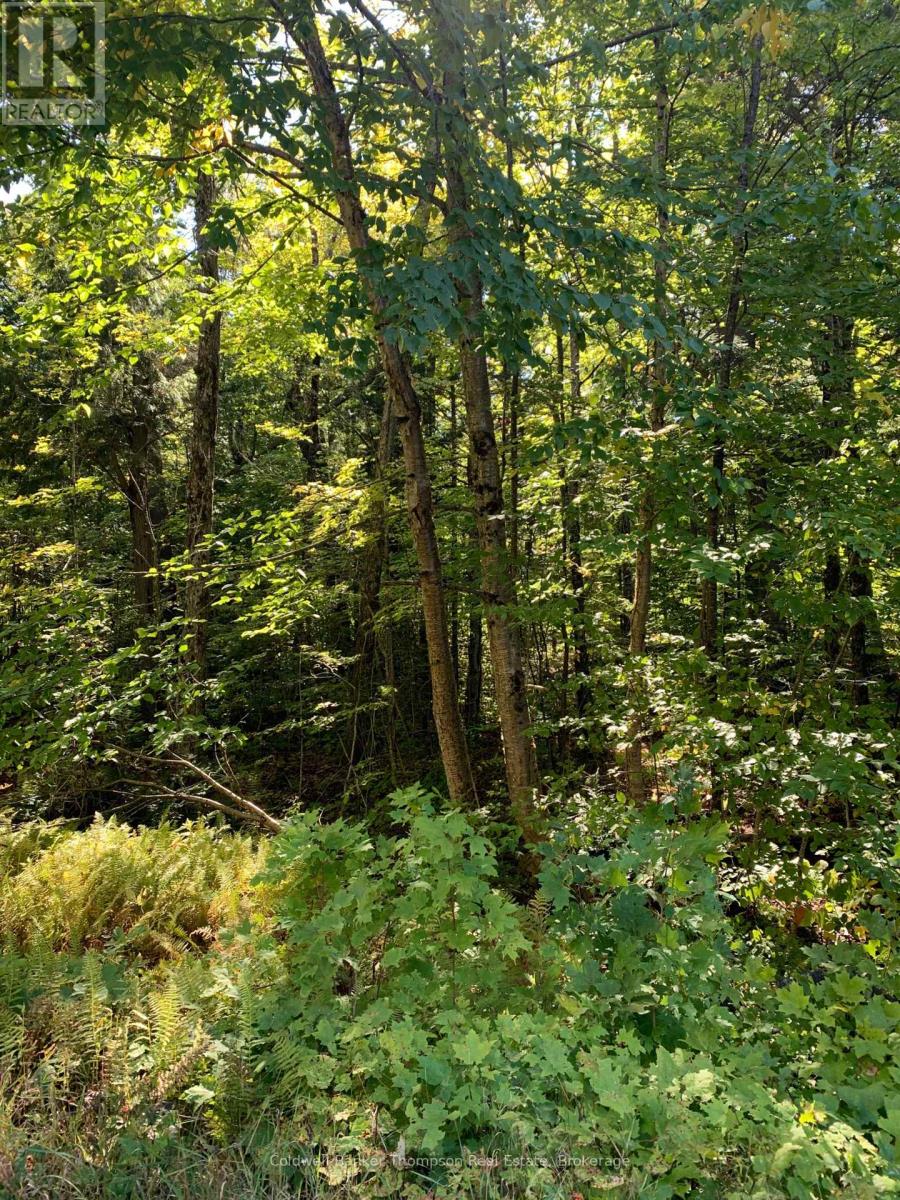 00 Ahmic Lake Road, Magnetawan, Ontario P0A 1P0 - Photo 2 - X13863478