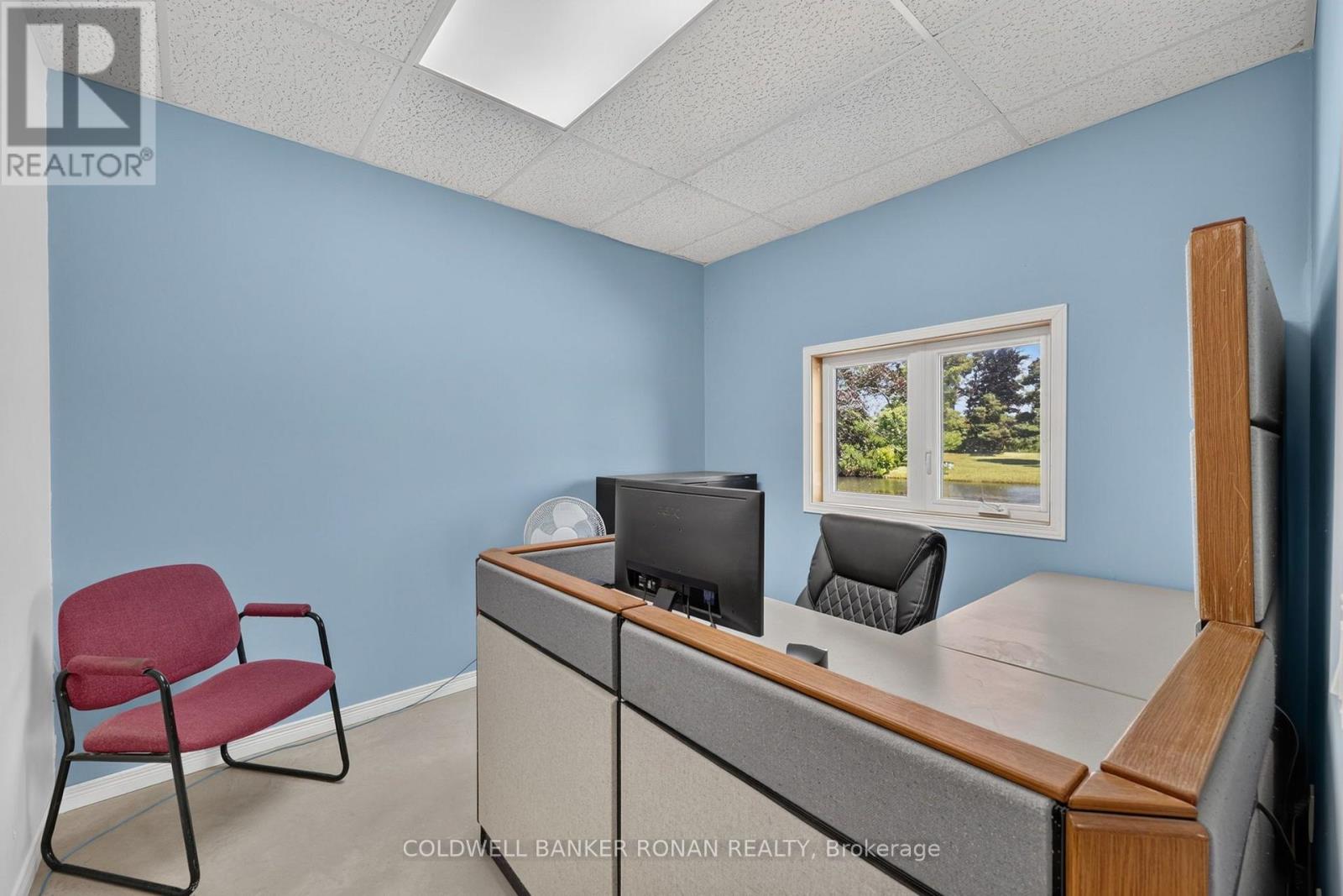 8799 Highway 89, Adjala-Tosorontio, Ontario L9R 1V1 - Photo 38 - N13863786