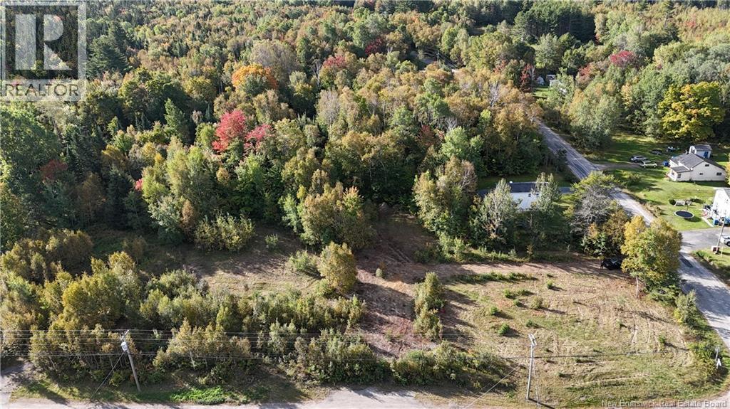Lot Route 8 Highway, Mcnamee, New Brunswick  E9C 2P6 - Photo 3 - NB149149