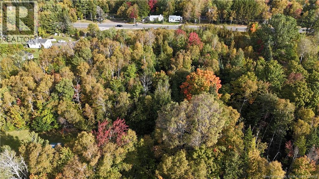 Lot Route 8 Highway, Mcnamee, New Brunswick  E9C 2P6 - Photo 5 - NB149149