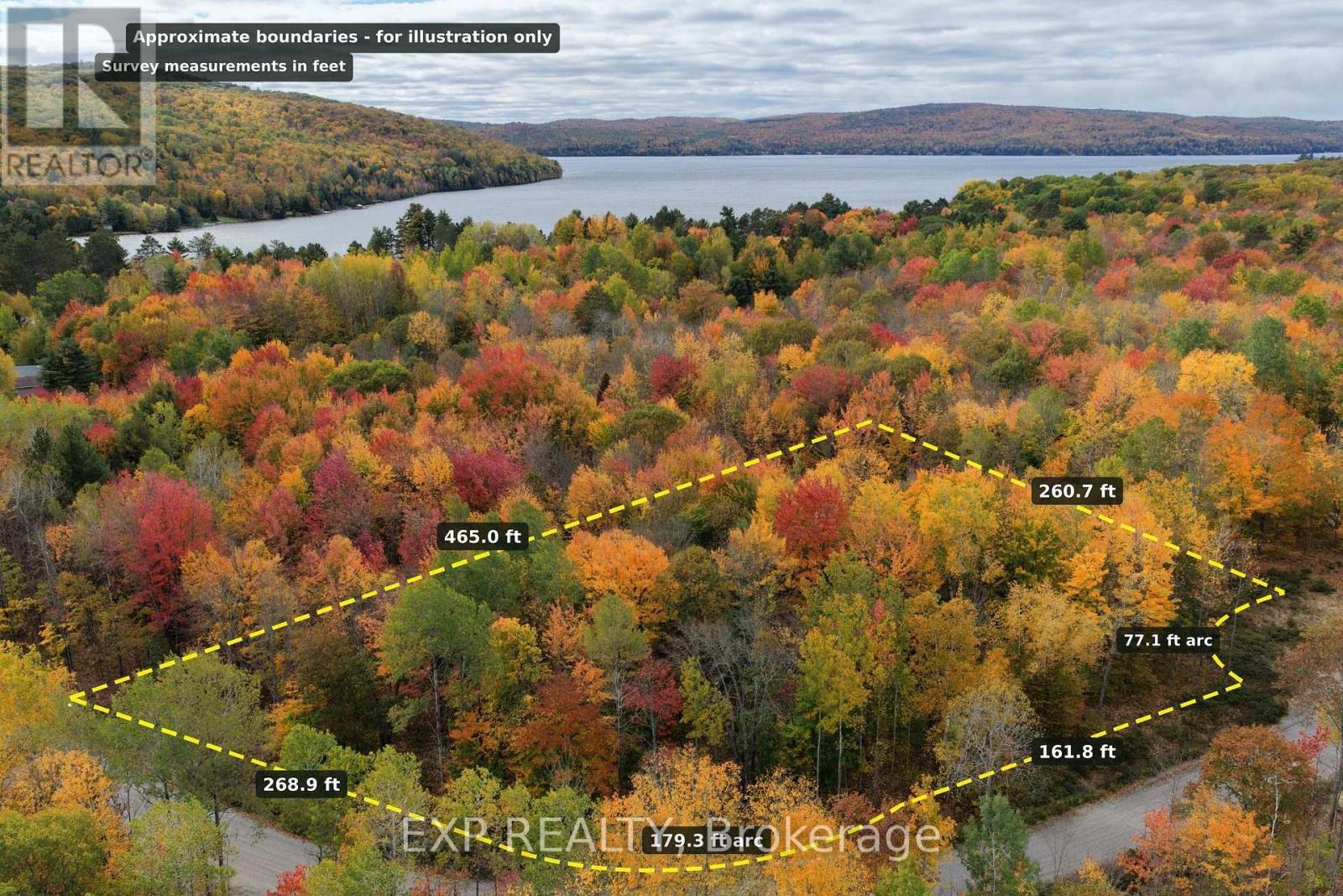 Lot 7 Casson Trail, Madawaska Valley, Ontario  K0J 1B0 - Photo 2 - X12522736