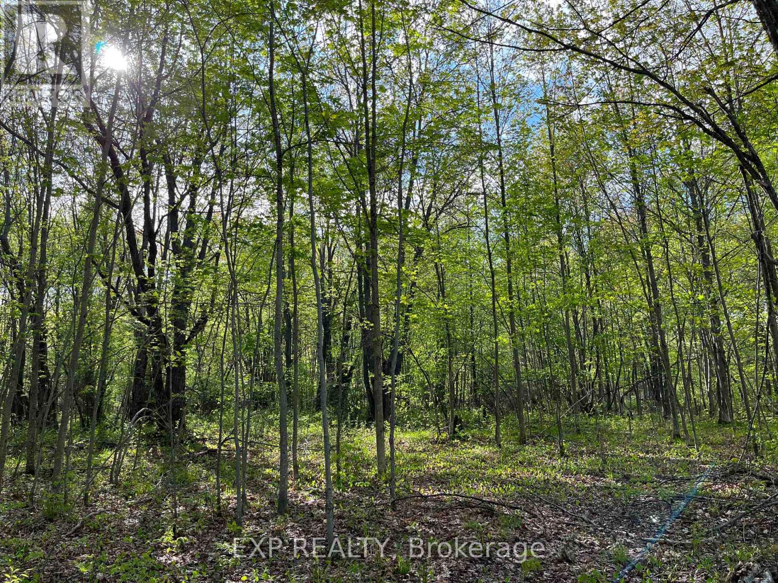 Lot 7 Casson Trail, Madawaska Valley, Ontario  K0J 1B0 - Photo 3 - X12522736