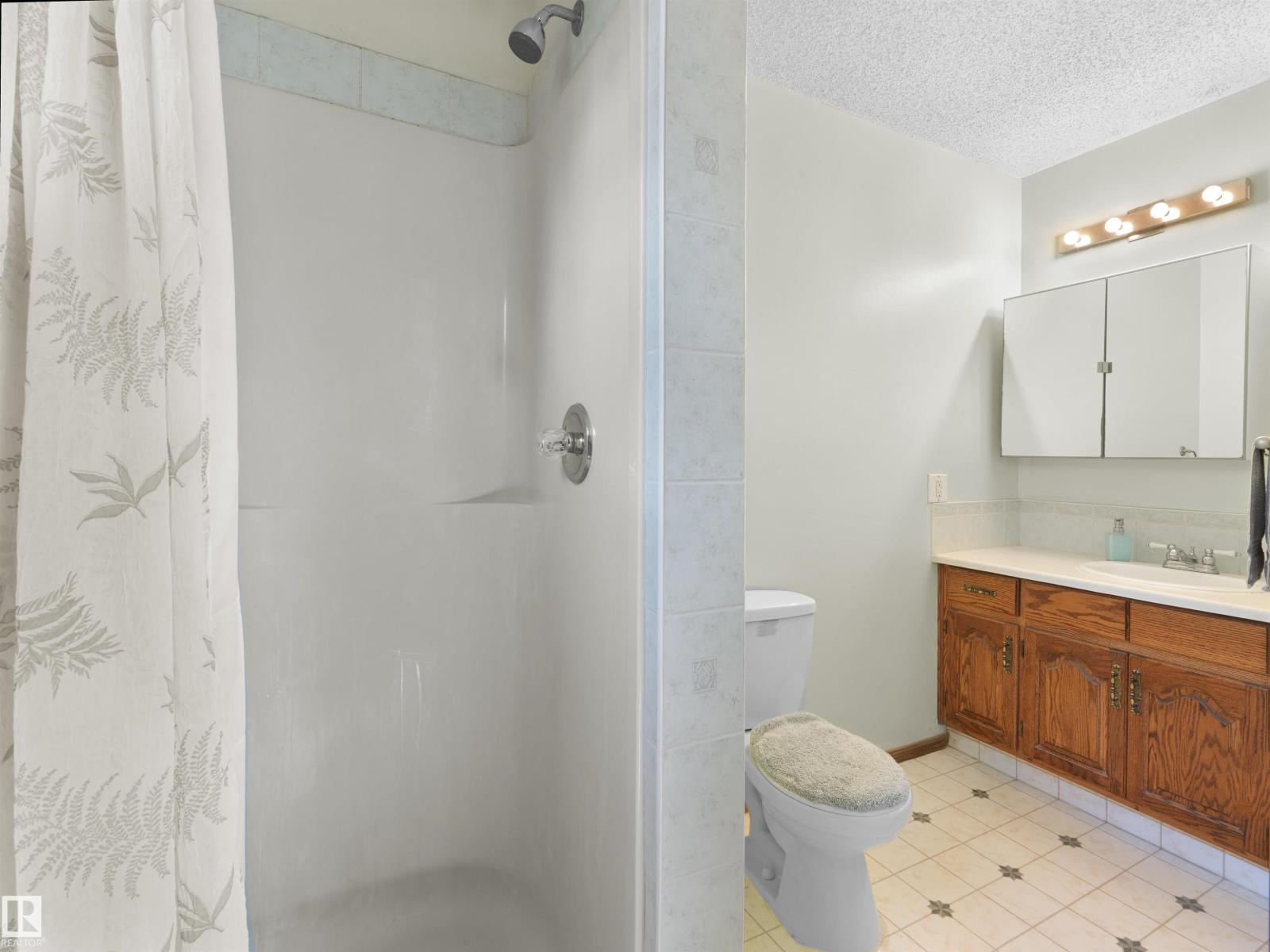18528 98 Av Nw, Edmonton, Alberta  T5T 3J5 - Photo 15 - E4511620