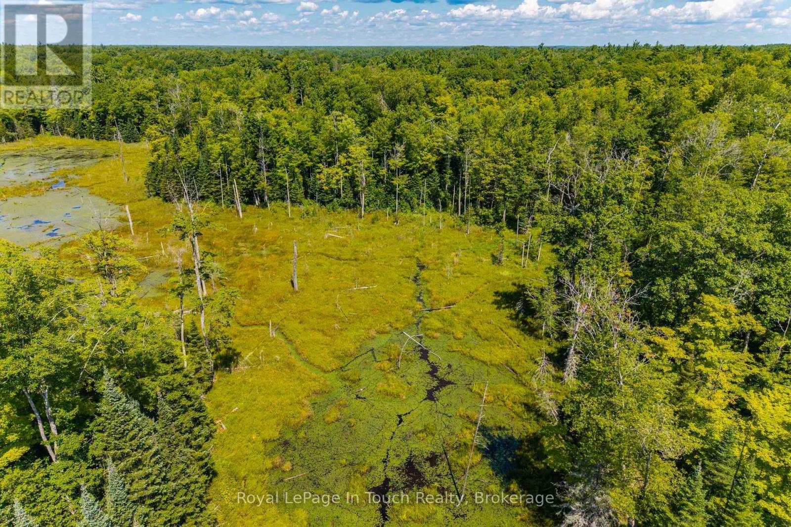 1253 Kitchen Side Road, Severn, Ontario  L0K 1E0 - Photo 46 - S13864658