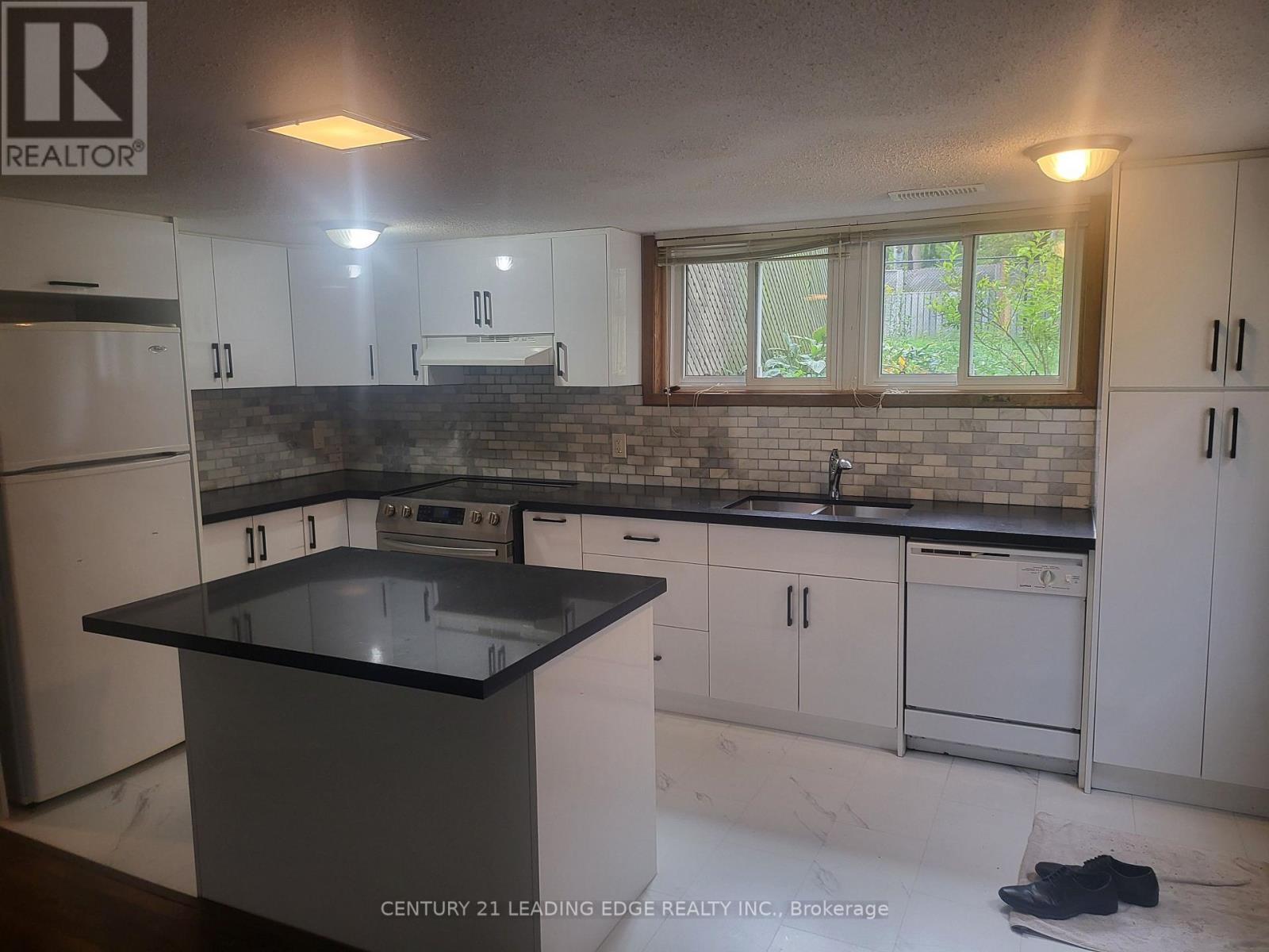 Lower Level - 168 Meadowvale Road, Toronto, Ontario  M1C 3E3 - Photo 4 - E13864688