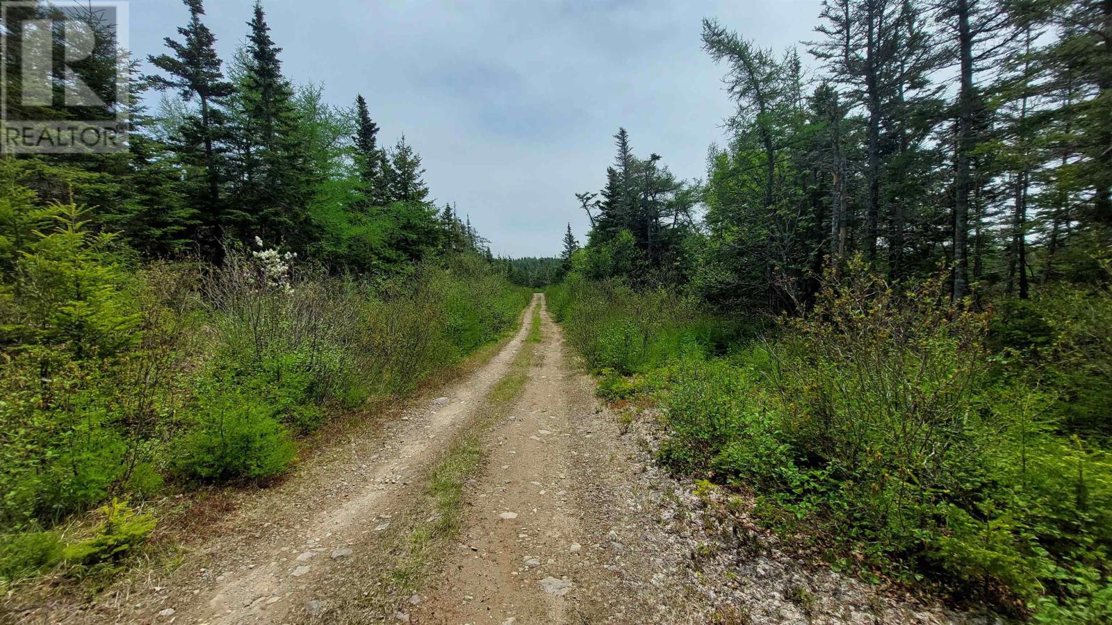 226 Acre Mackenzie Lake Rd, Framboise, Nova Scotia  B2J 1E3 - Photo 6 - 202625190