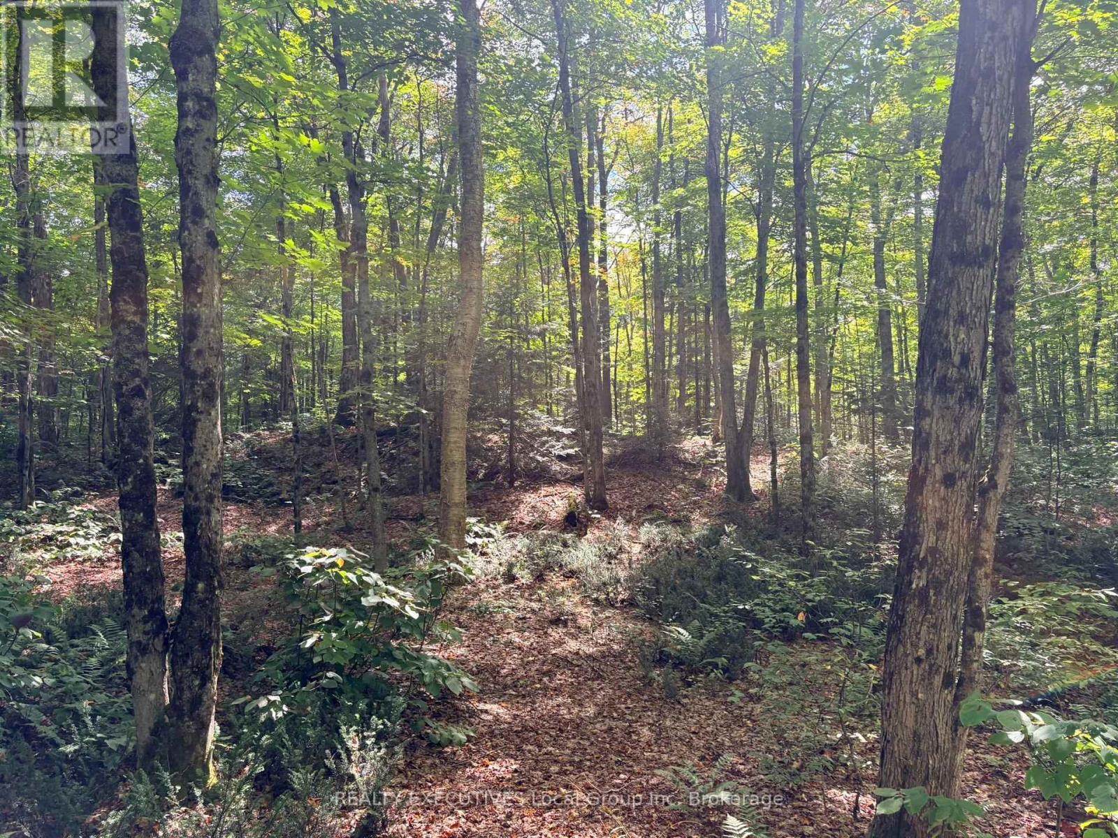 Lot 3 Widdifield Station Road, North Bay, Ontario  P1B 8G2 - Photo 3 - X13584696
