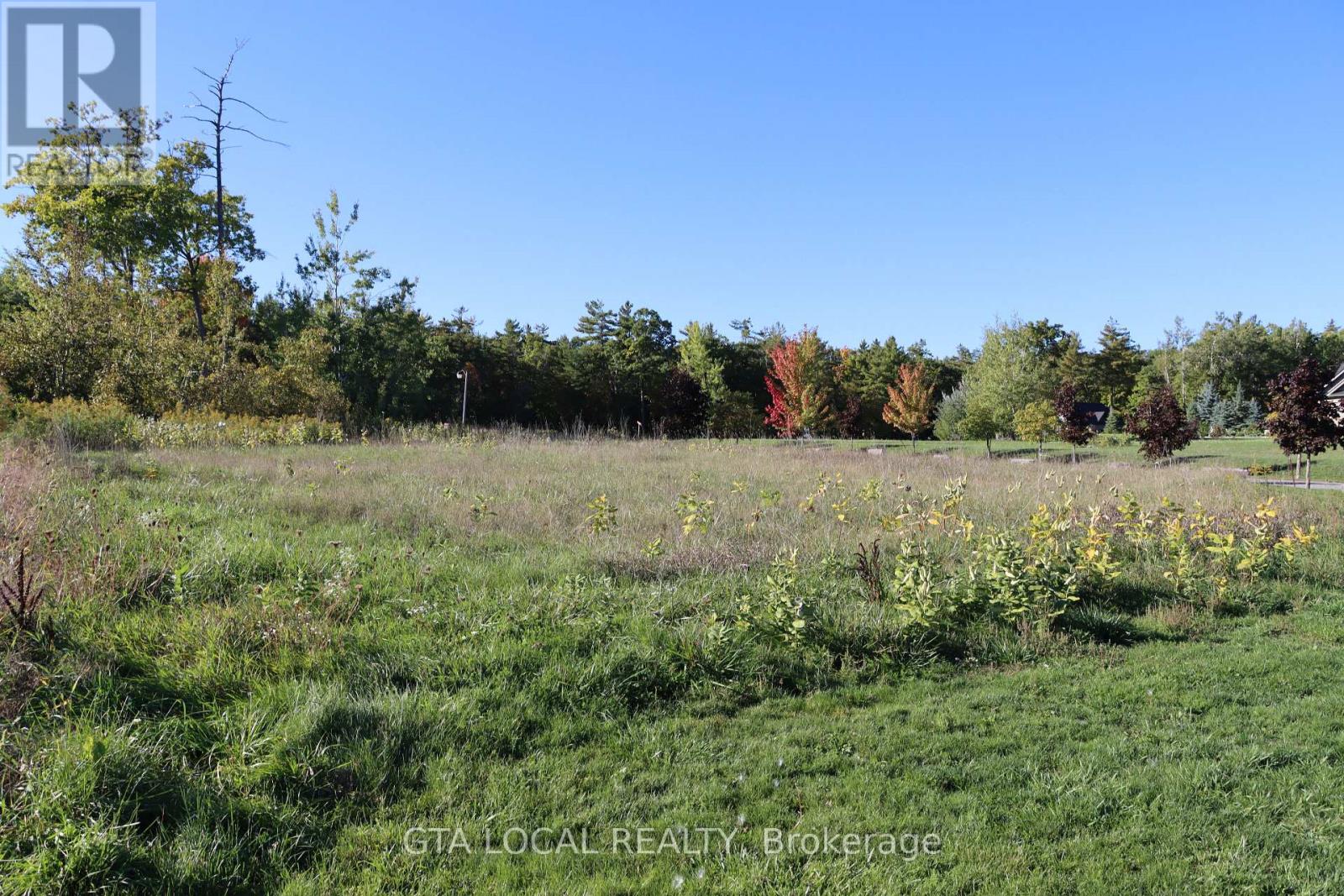 Lot 25 Fire Route, Trent Lakes, Ontario  K0L 1J0 - Photo 6 - X13864950