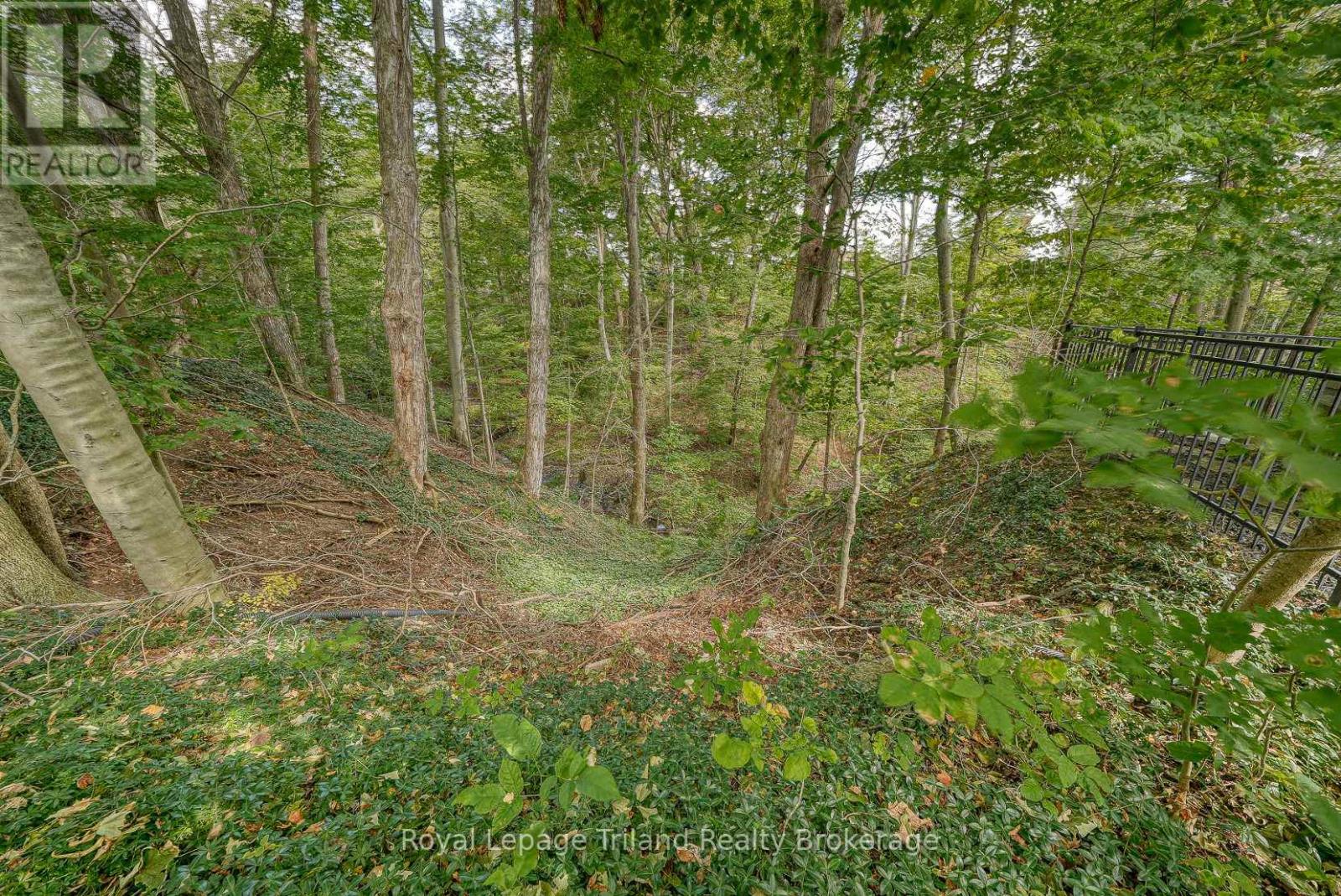 28 Segal Drive, Tillsonburg, Ontario  N4G 5A1 - Photo 49 - X13865358