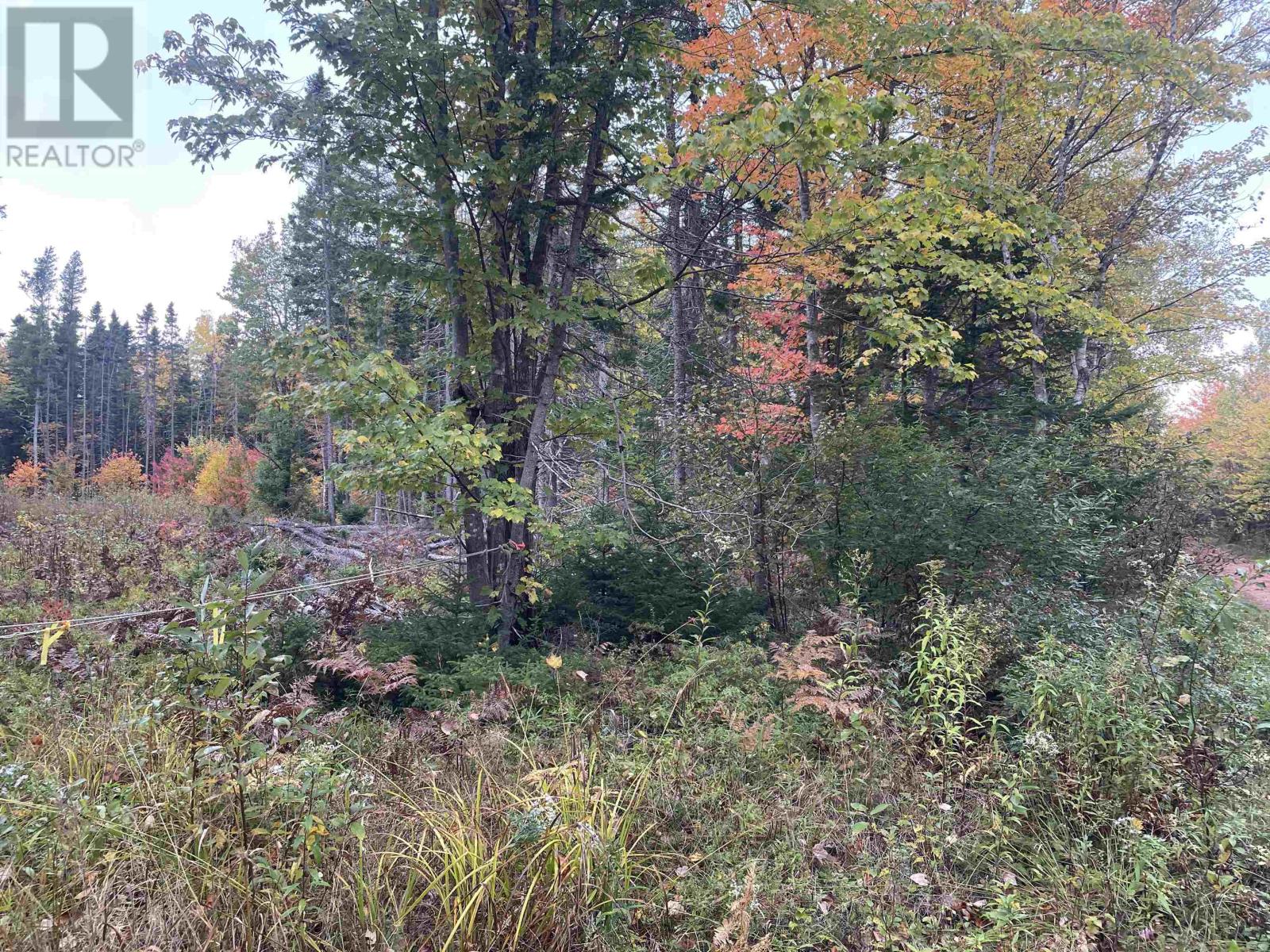 Farley Road, St. Lawrence, Prince Edward Island  C0B 1E0 - Photo 10 - 202625157