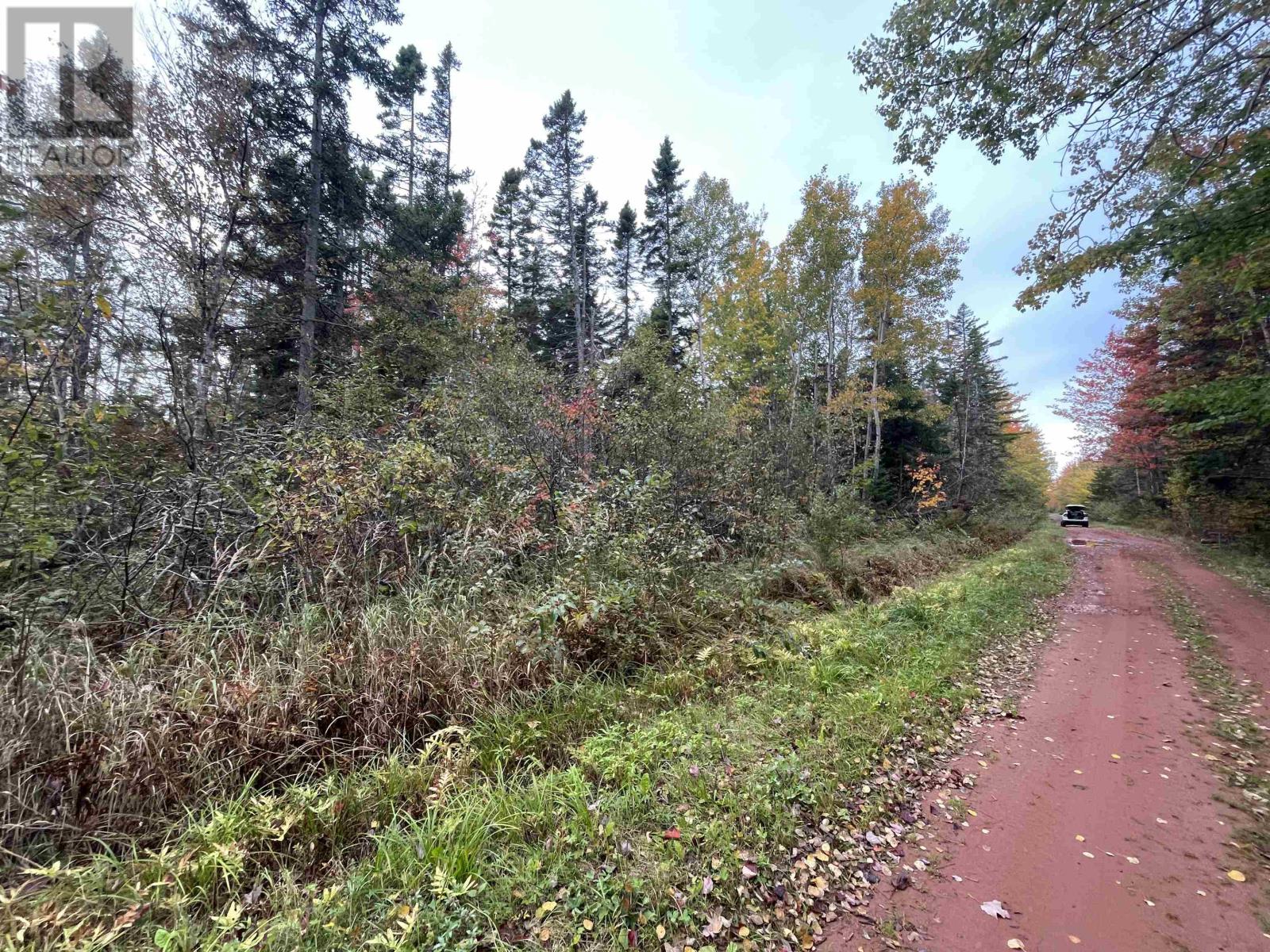 Farley Road, St. Lawrence, Prince Edward Island  C0B 1E0 - Photo 14 - 202625157
