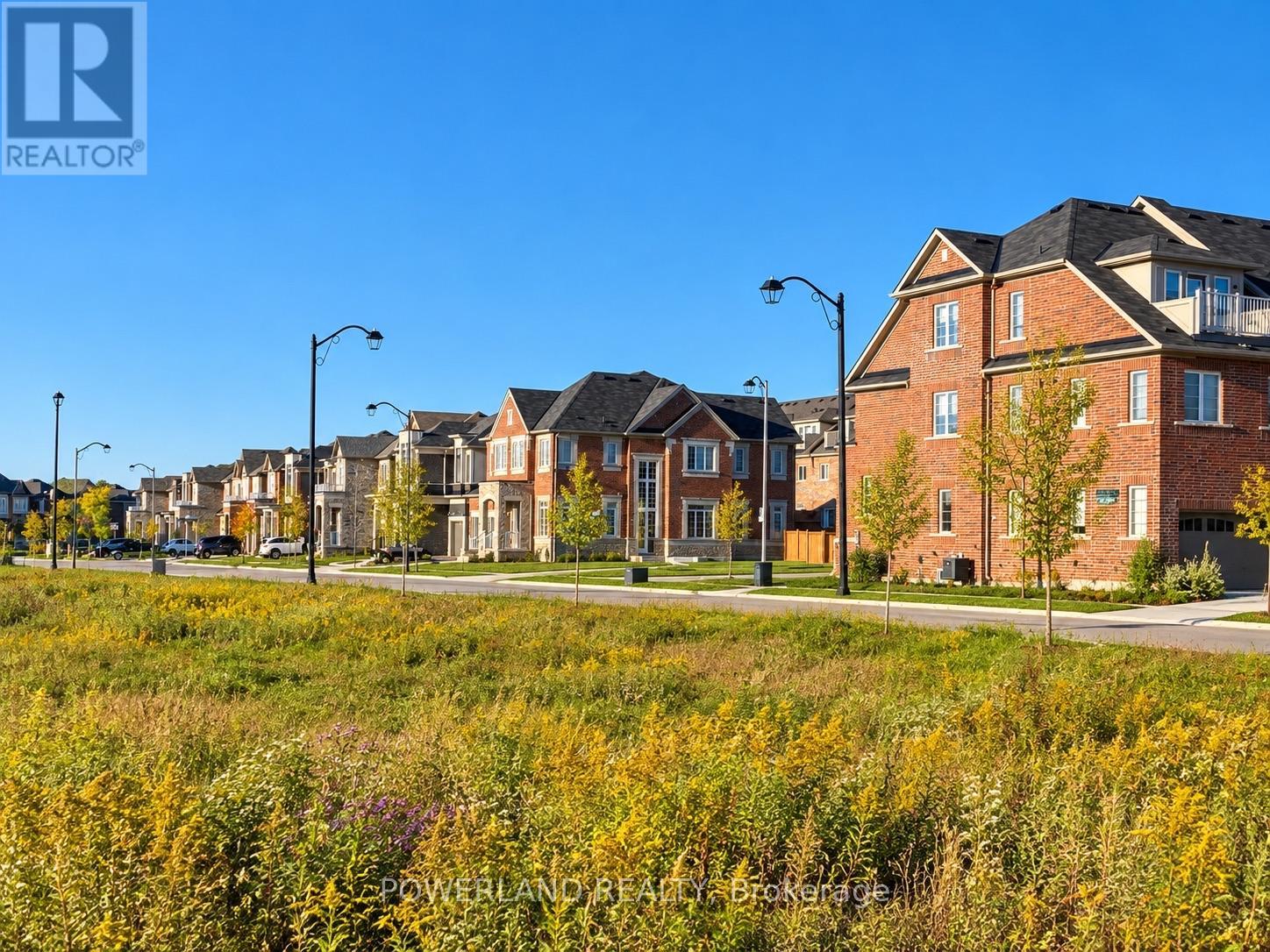 77 Mcalister Avenue, Richmond Hill, Ontario  L4S 0L2 - Photo 45 - N13865314