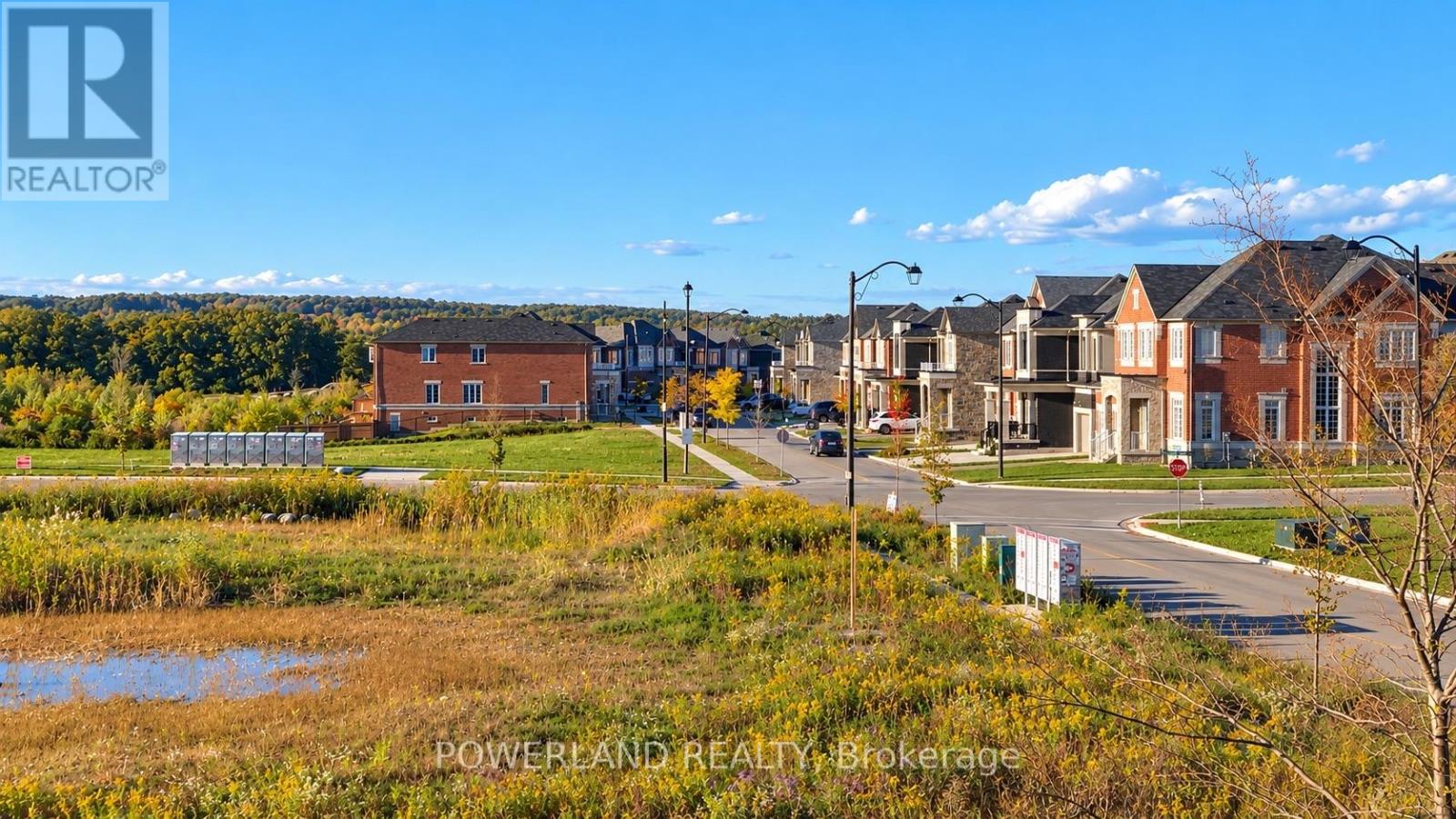 77 Mcalister Avenue, Richmond Hill, Ontario  L4S 0L2 - Photo 46 - N13865314