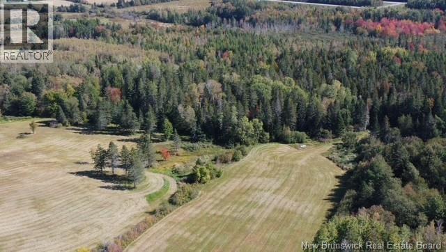 47210 Homestead Road, Steeves Mountain, New Brunswick  E1G 4B4 - Photo 15 - NB148750