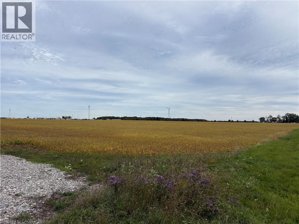 1071 Kohler Road, Cayuga, Ontario  N0A 1E0 - Photo 1 - 40868717
