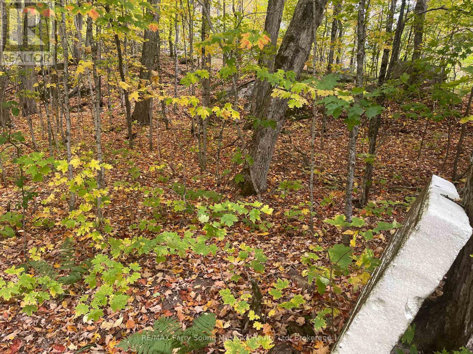 3 Maplewood Drive, Mckellar, Ontario P2A 0B5 - Photo 11 - X13865578