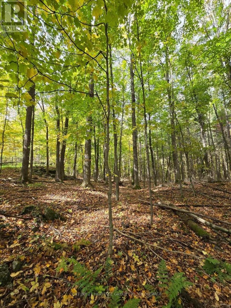 00 Burnt Hills Road, Frontenac, Ontario  K0H 1H0 - Photo 28 - X13865814