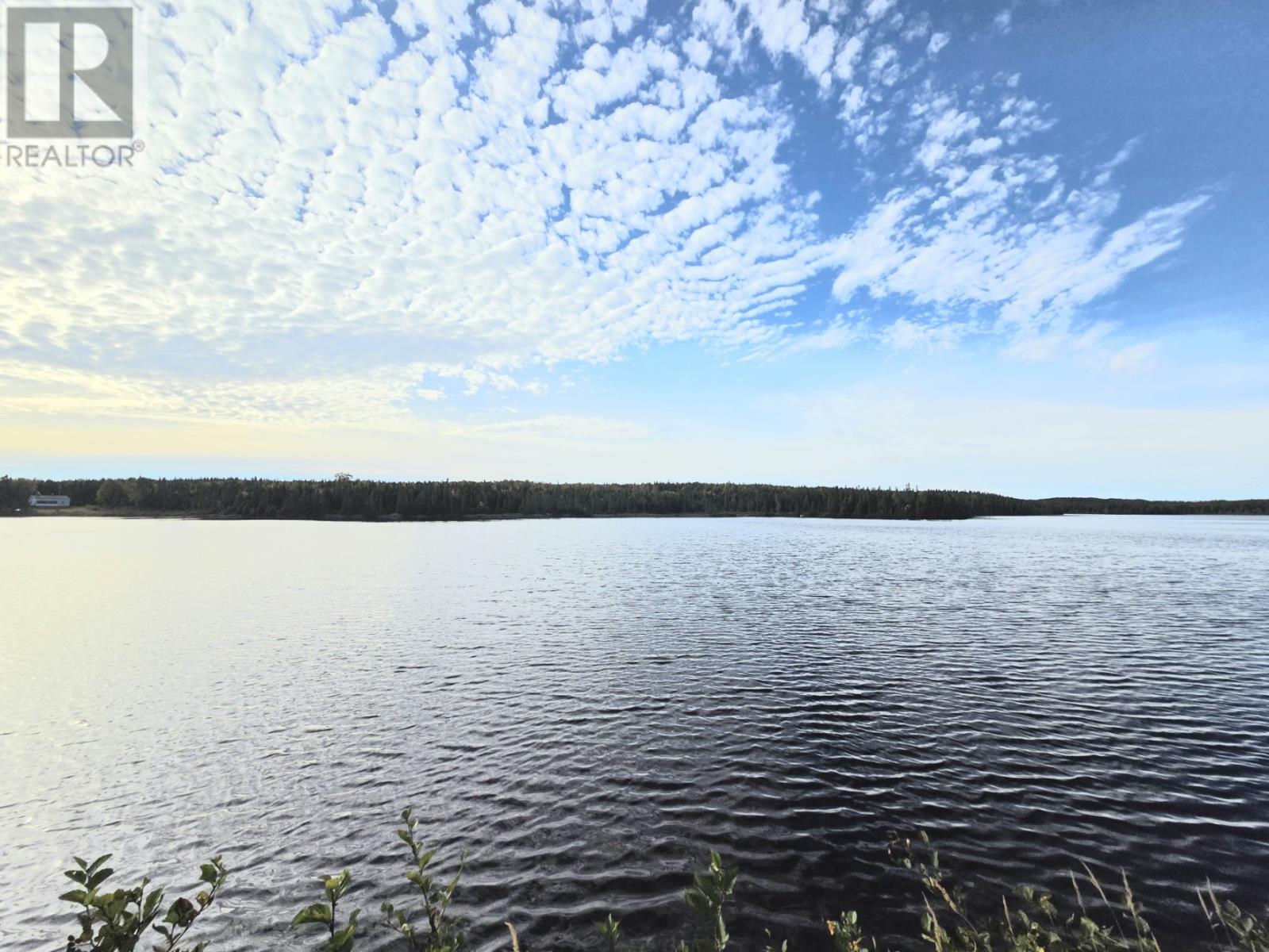 CL124016 Sprucy Pond (Rocky Road) Pond, Grand Falls-Windsor — photo 4