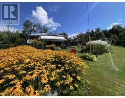 2 ALEXANDER AVENUE, Kawartha Lakes, Ontario