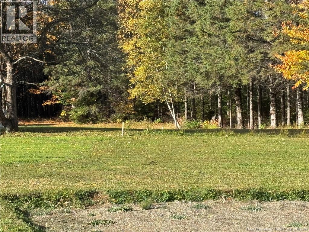 Lot M Centreville Rd, Florenceville-Bristol, New Brunswick  E7L 3K5 - Photo 9 - NB149178