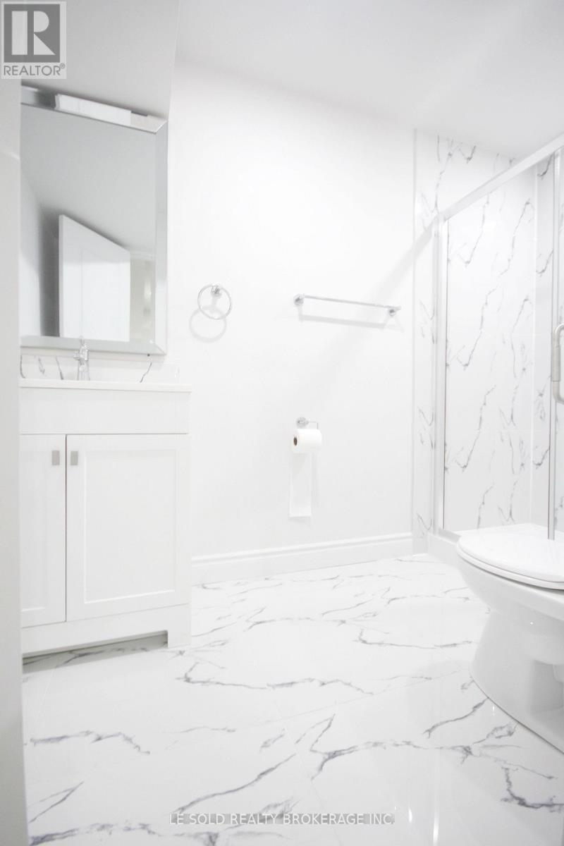Bsmt - 7 Pear Blossom Way, East Gwillimbury, Ontario  L9N 0T3 - Photo 6 - N13866122