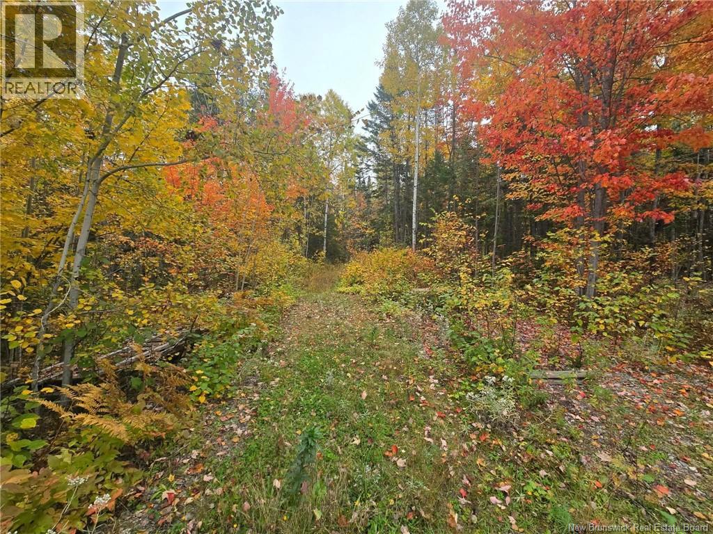 275 Chamberlain Settlement, Chamberlain Settlement, New Brunswick  E2A 6G9 - Photo 15 - NB149180