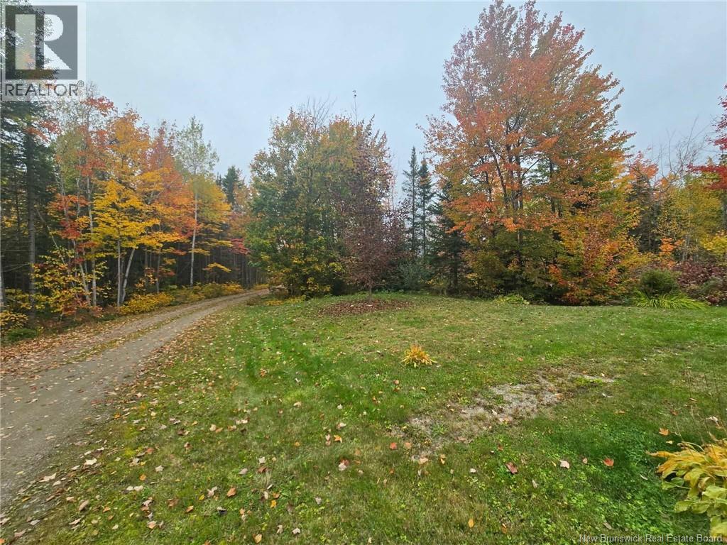 275 Chamberlain Settlement, Chamberlain Settlement, New Brunswick  E2A 6G9 - Photo 17 - NB149180