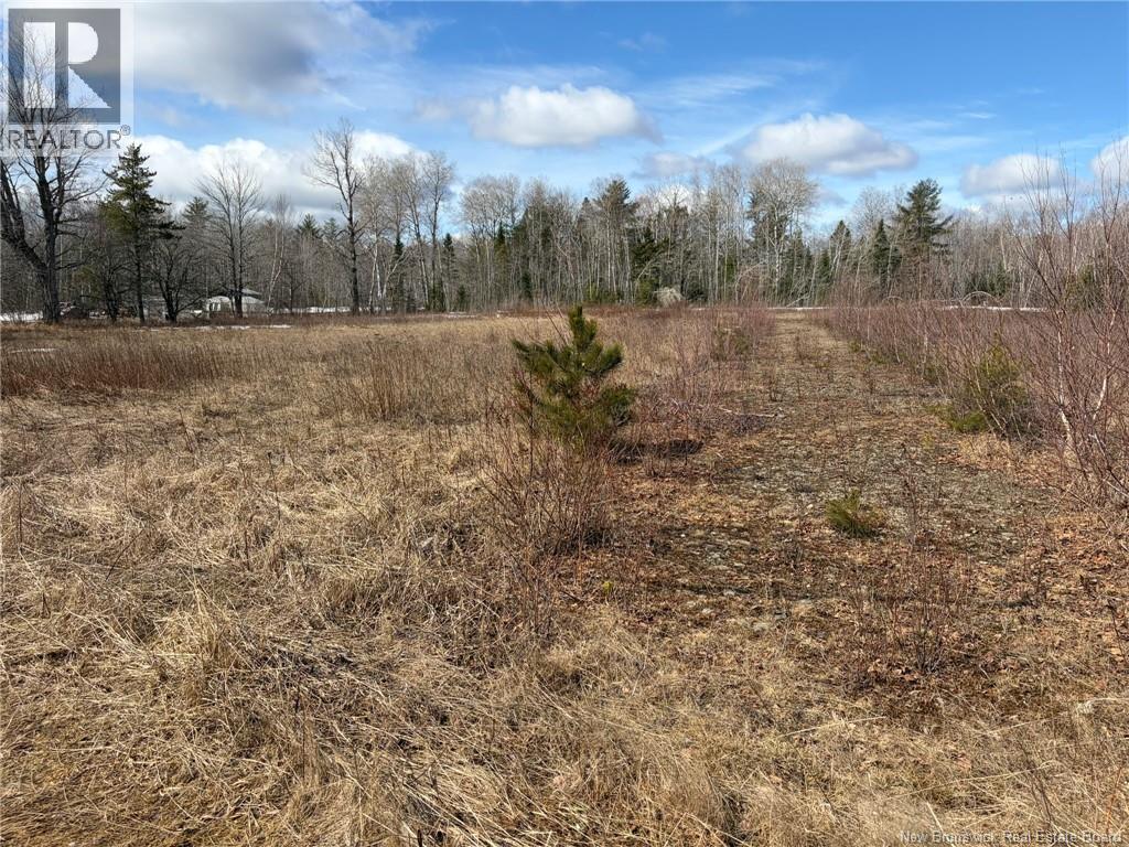 1 Acre Bellefond Road, Bellefond, New Brunswick  E1V 4T6 - Photo 2 - NB149194
