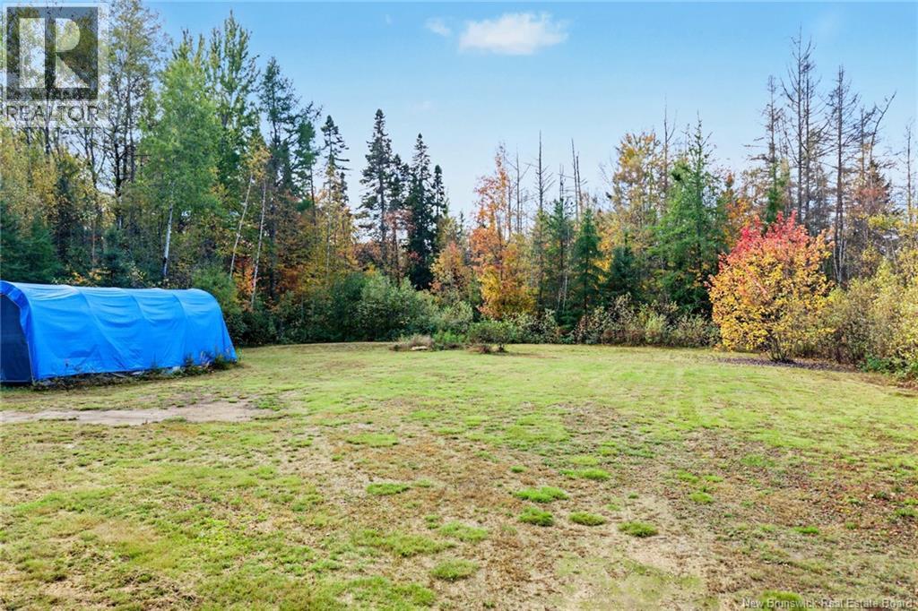 4374 Route 123, Gaspereau Forks, New Brunswick  E4A 2E9 - Photo 28 - NB148841