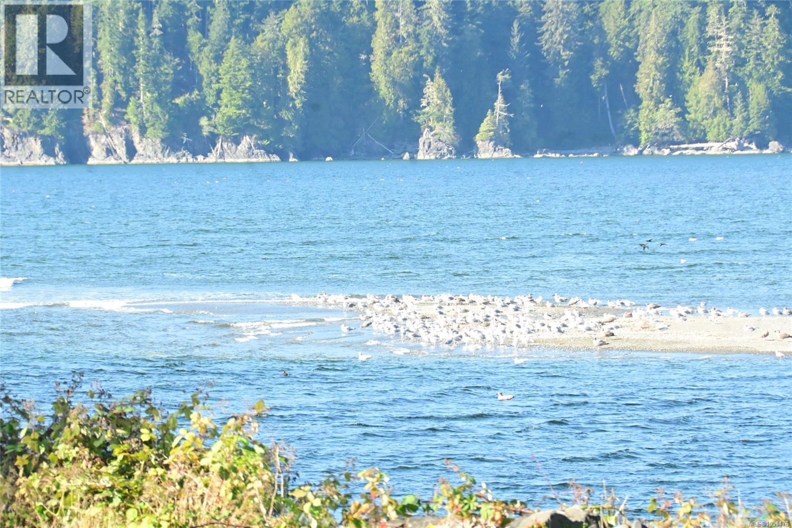 16985 Clo-Oose Pl, Port Renfrew, British Columbia  V0S 1K0 - Photo 2 - 1051476