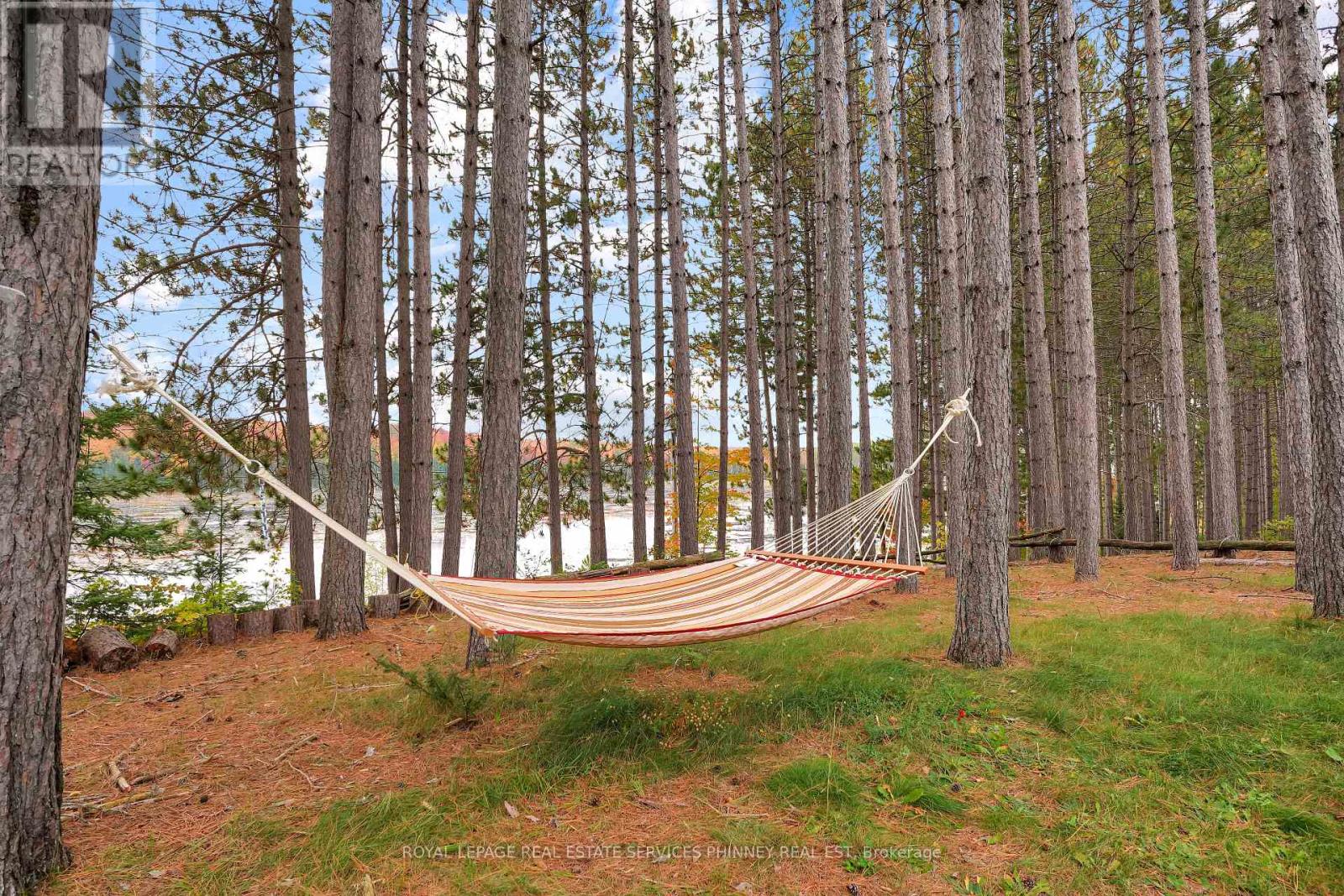 5073 Weslemkoon Lake Road, Tudor And Cashel, Ontario  K0L 1W0 - Photo 24 - X13866736