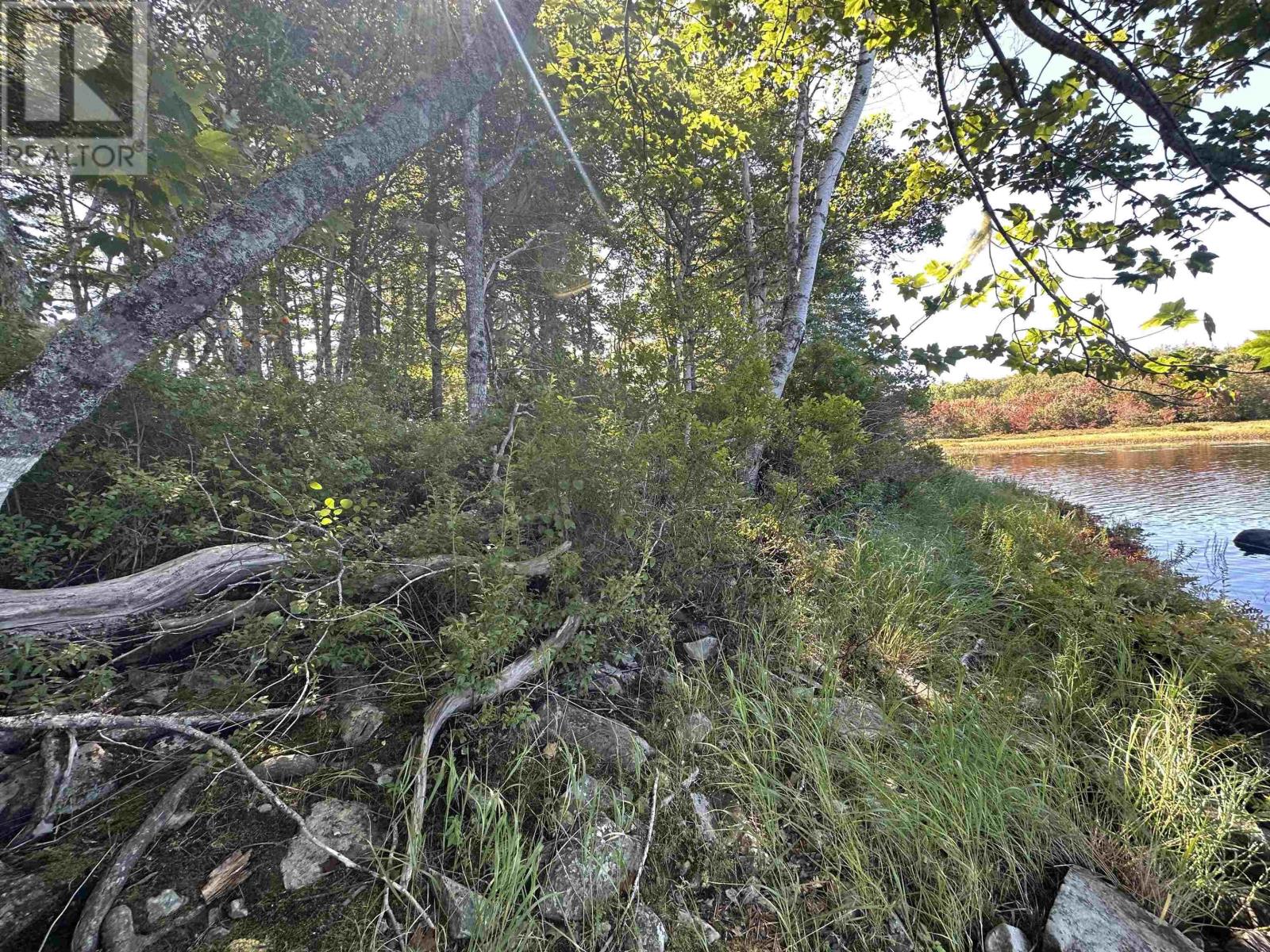 3 Highway 308 N, East Quinan, Nova Scotia  B0W 3M0 - Photo 30 - 202625245