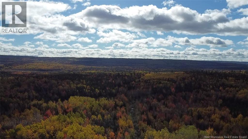 Harper Settlement Road, Anagance, New Brunswick  E4Z 1E6 - Photo 1 - NB149185