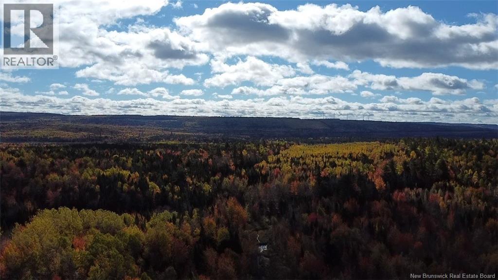 Harper Settlement Road, Anagance, New Brunswick  E4Z 1E6 - Photo 2 - NB149185