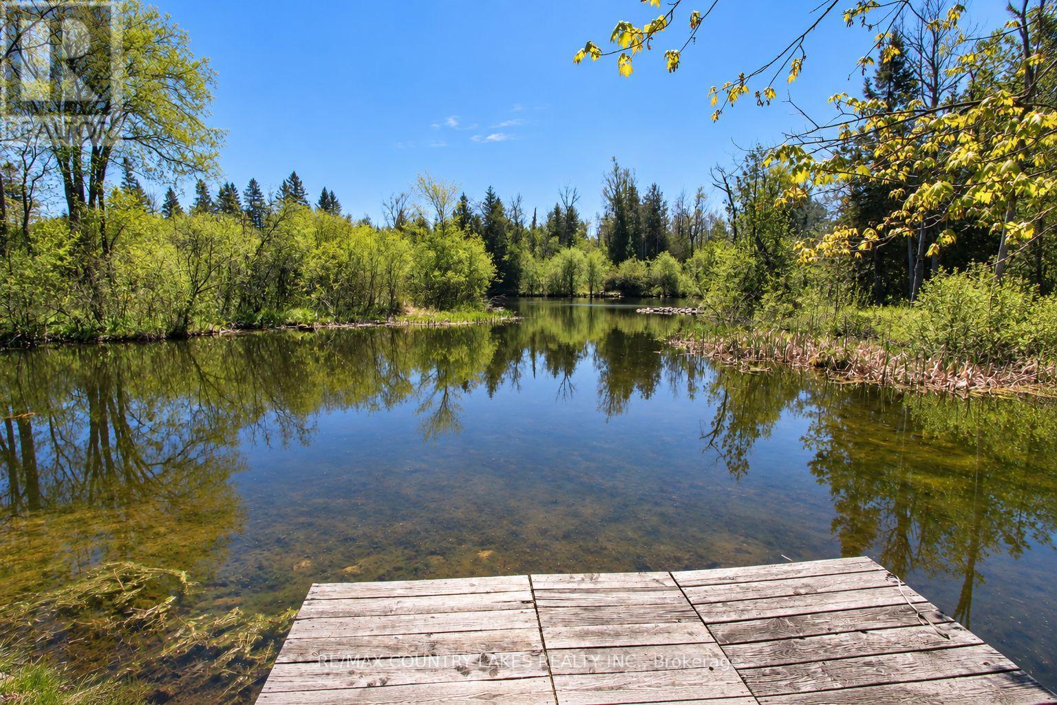 77 Mcguire Beach Road, Kawartha Lakes, Ontario  K0M 2B0 - Photo 37 - X13866870