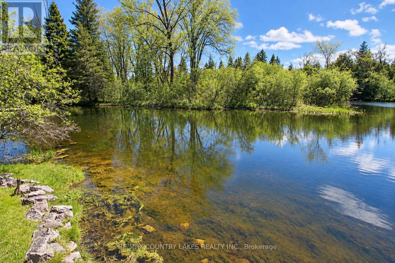 77 Mcguire Beach Road, Kawartha Lakes, Ontario  K0M 2B0 - Photo 39 - X13866870