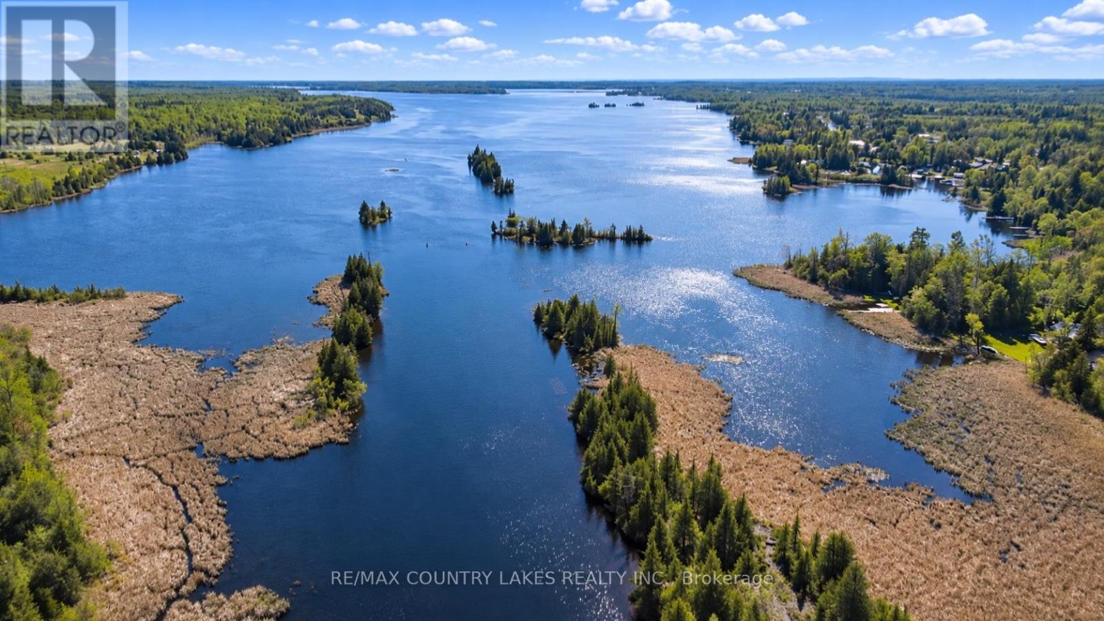 77 Mcguire Beach Road, Kawartha Lakes, Ontario  K0M 2B0 - Photo 41 - X13866870