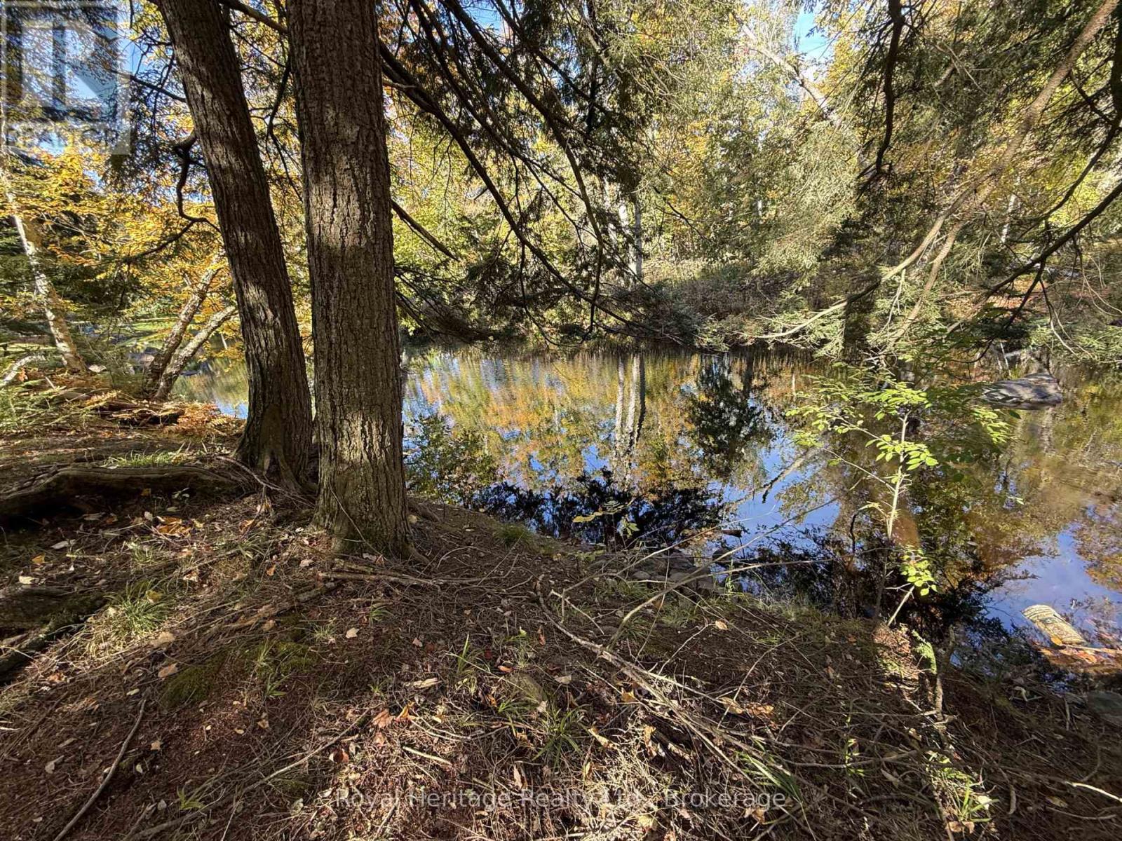 7 Fire Route 92 Route, Trent Lakes, Ontario  K0M 1A0 - Photo 3 - X13863012