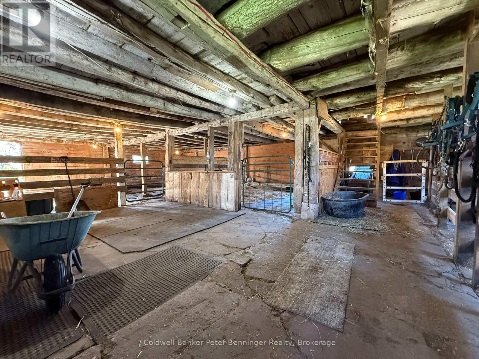 158 Bruce Rd 17 Road, Arran-Elderslie, Ontario N0H 2N0 - Photo 30 - X13867066