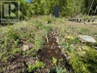 1703 Matawatchan Road, North Frontenac, Ontario  K0J 2R0 - Photo 26 - X13867390