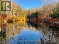 1703 Matawatchan Road, North Frontenac, Ontario  K0J 2R0 - Photo 37 - X13867390