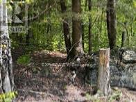 1703 Matawatchan Road, North Frontenac, Ontario  K0J 2R0 - Photo 40 - X13867390