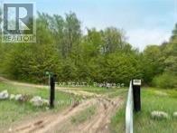 1703 Matawatchan Road, North Frontenac, Ontario K0J 2R0 - Photo 6 - X13867390
