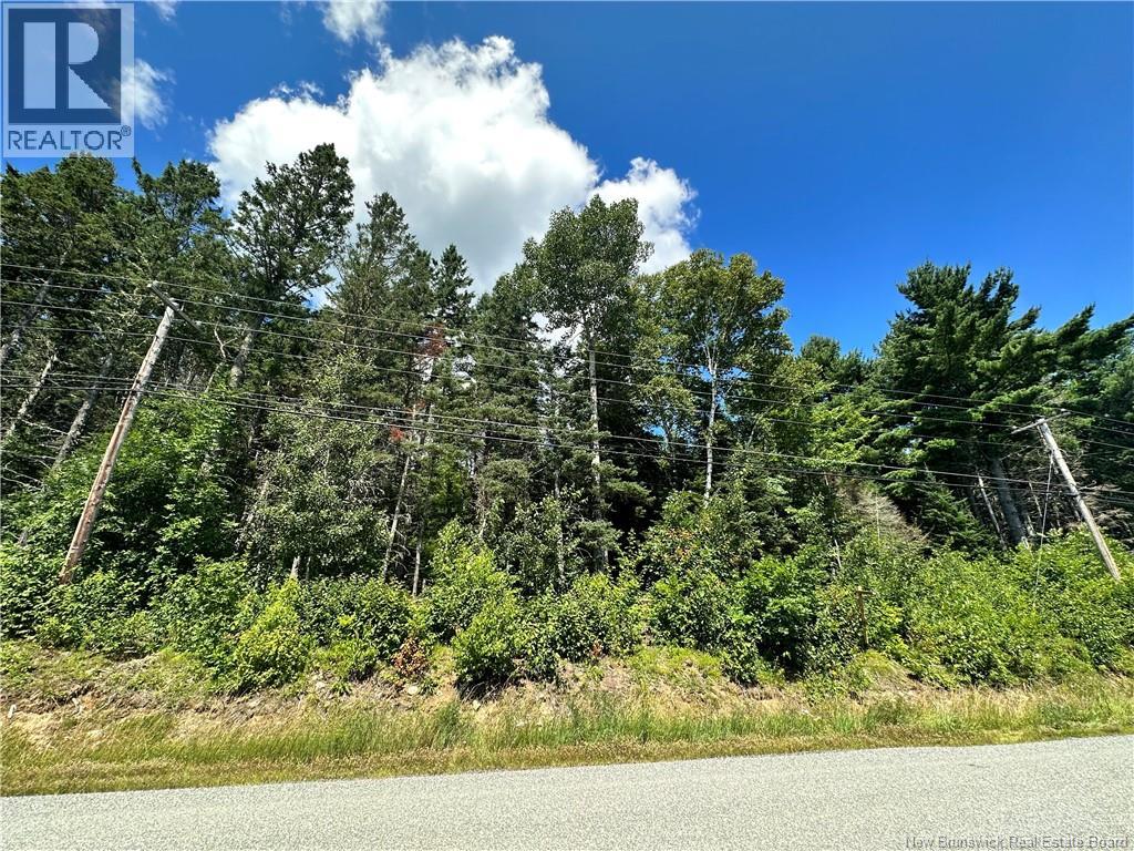 <h3>$22,000</h3><p>Lot Route 105, Upper Queensbury, New Brunswick</p>
