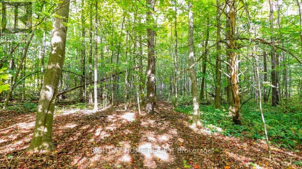 1602 County 92 Road, Springwater, Ontario  L0L 1P0 - Photo 47 - S13846106