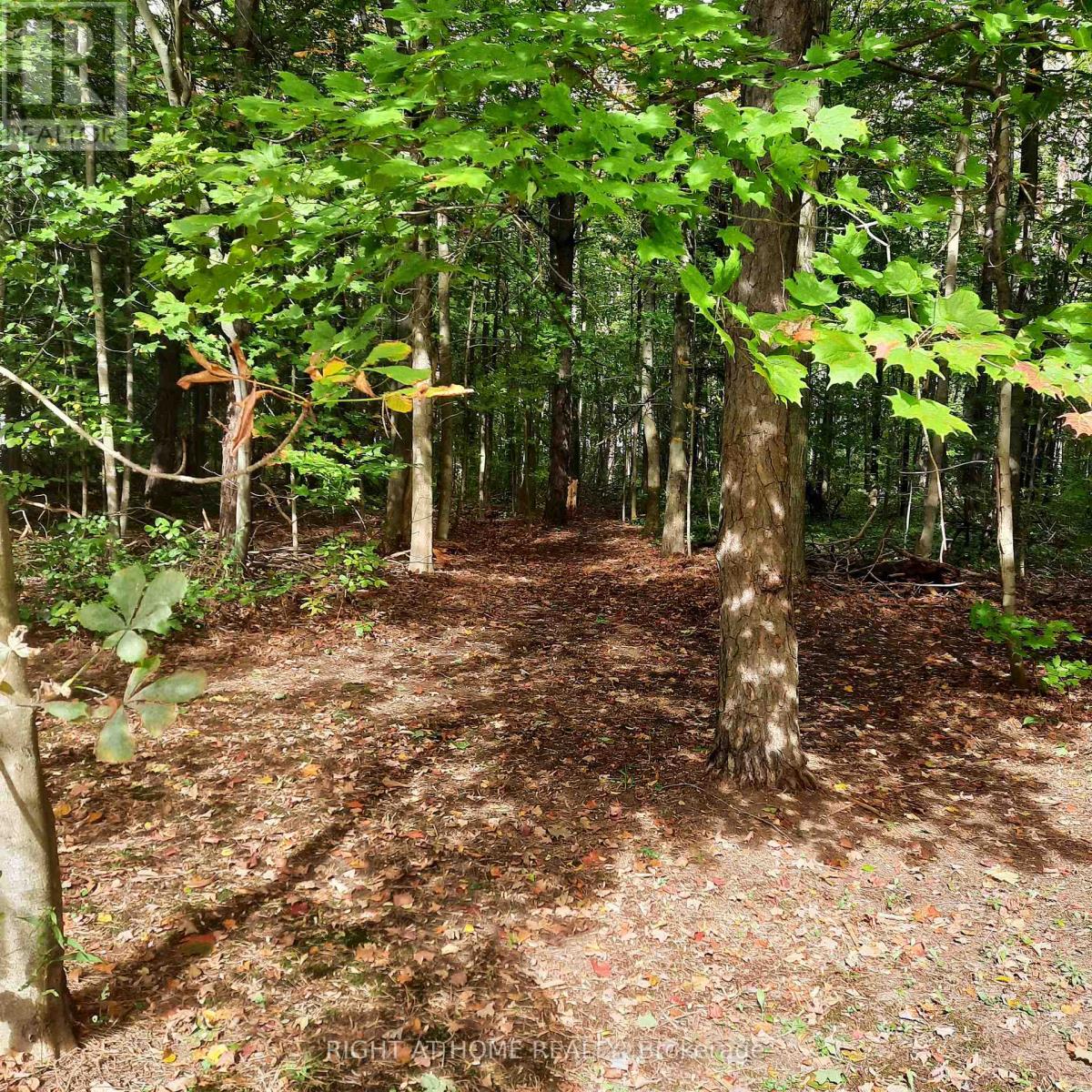 1602 County 92 Road, Springwater, Ontario  L0L 1P0 - Photo 48 - S13846106